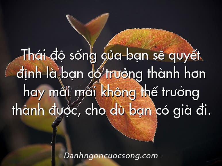 Thái độ sống của bạn sẽ quyết định là bạn có trưởng thành hơn hay mãi mãi không thể trưởng thành được, cho dù bạn có già đi.