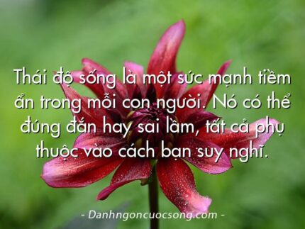 Thái độ sống là một sức mạnh tiềm ẩn trong mỗi con người. Nó có thể đúng đắn hay sai lầm, tất cả phụ thuộc vào cách bạn suy nghĩ.
