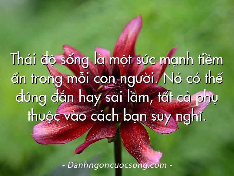 Thái độ sống là một sức mạnh tiềm ẩn trong mỗi con người. Nó có thể đúng đắn hay sai lầm, tất cả phụ thuộc vào cách bạn suy nghĩ.