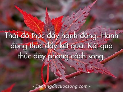 Thái độ thúc đẩy hành động. Hành động thúc đẩy kết quả. Kết quả thúc đẩy phong cách sống.