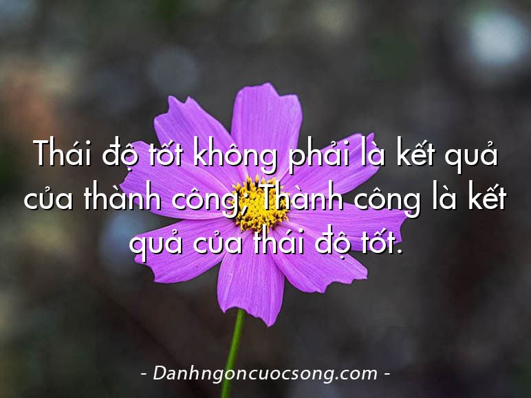 Thái độ tốt không phải là kết quả của thành công; Thành công là kết quả của thái độ tốt.