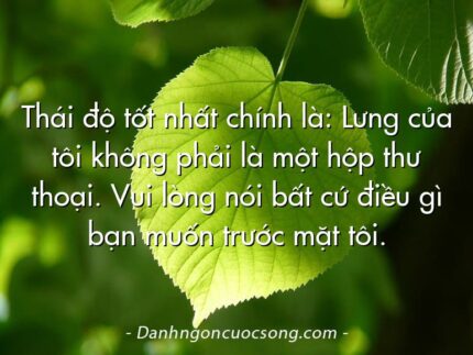 Thái độ tốt nhất chính là: Lưng của tôi không phải là một hộp thư thoại. Vui lòng nói bất cứ điều gì bạn muốn trước mặt tôi.
