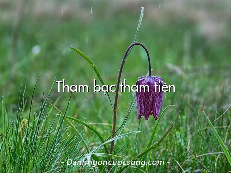 Tham bạc tham tiền