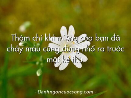 Thậm chí khi miệng của bạn đã chảy máu cũng đừng nhổ ra trước mặt kẻ thù.