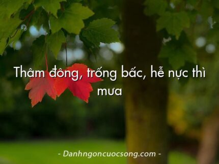 Thâm đông, trống bấc, hễ nực thì mưa
