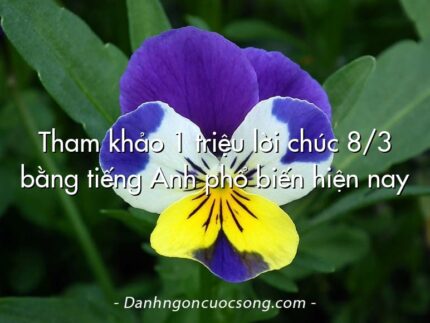 Tham khảo 1 triệu lời chúc 8/3 bằng tiếng Anh phổ biến hiện nay 
