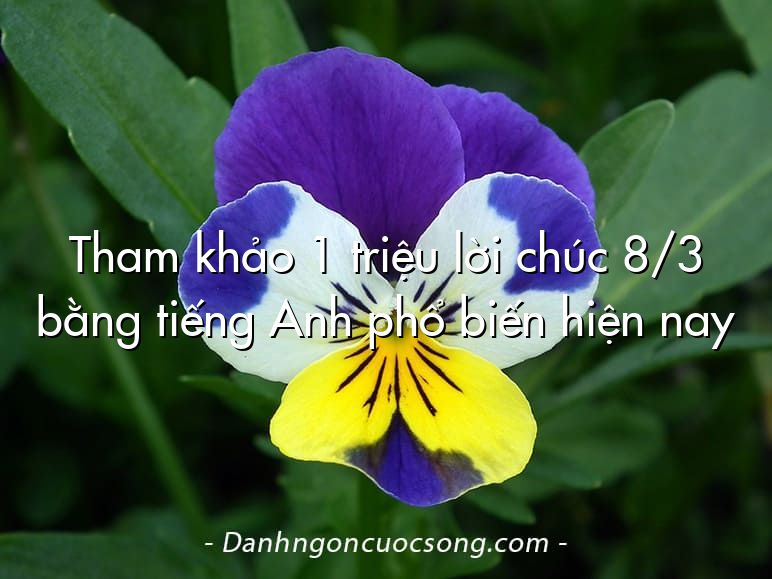 Tham khảo 1 triệu lời chúc 8/3 bằng tiếng Anh phổ biến hiện nay 