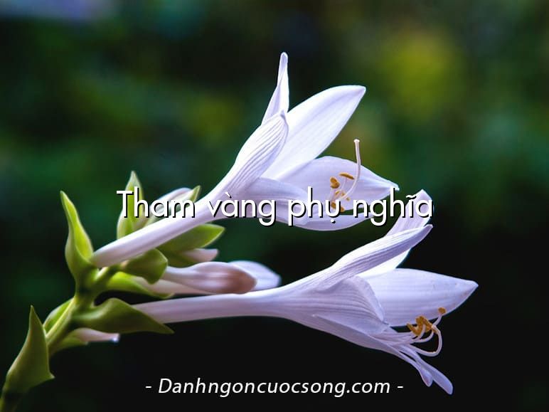 Tham vàng phụ nghĩa