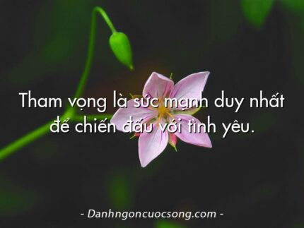 Tham vọng là sức mạnh duy nhất để chiến đấu với tình yêu.