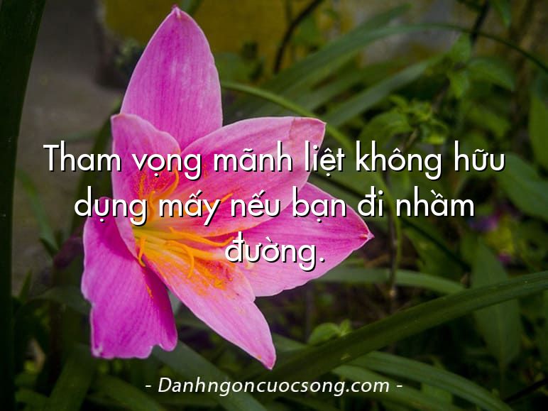 Tham vọng mãnh liệt không hữu dụng mấy nếu bạn đi nhầm đường.