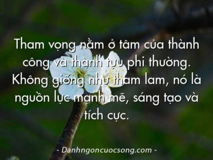 Tham vọng nằm ở tâm của thành công và thành tựu phi thường. Không giống như tham lam, nó là nguồn lực mạnh mẽ, sáng tạo và tích cực.