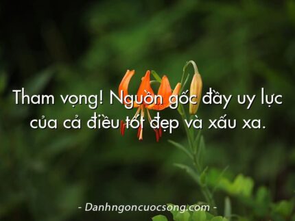 Tham vọng! Nguồn gốc đầy uy lực của cả điều tốt đẹp và xấu xa.