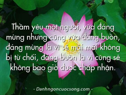 Thầm yêu một người, vừa đáng mừng nhưng cũng vừa đáng buồn, đáng mừng là vì sẽ mãi mãi không bị từ chối, đáng buồn là vì cũng sẽ không bao giờ được chấp nhận.