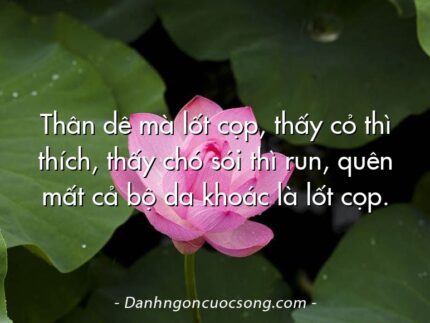 Thân dê mà lốt cọp, thấy cỏ thì thích, thấy chó sói thì run, quên mất cả bộ da khoác là lốt cọp.