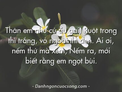 Thân em như củ ấu gai, Ruột trong thì trắng, vỏ ngoài thì đen. Ai ơi, nếm thử mà xem, Nếm ra, mới biết rằng em ngọt bùi.