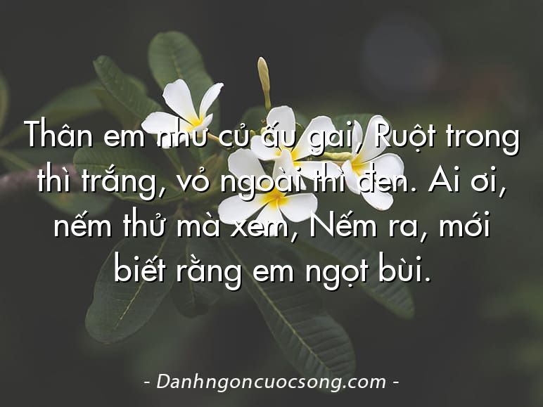 Thân em như củ ấu gai, Ruột trong thì trắng, vỏ ngoài thì đen. Ai ơi, nếm thử mà xem, Nếm ra, mới biết rằng em ngọt bùi.