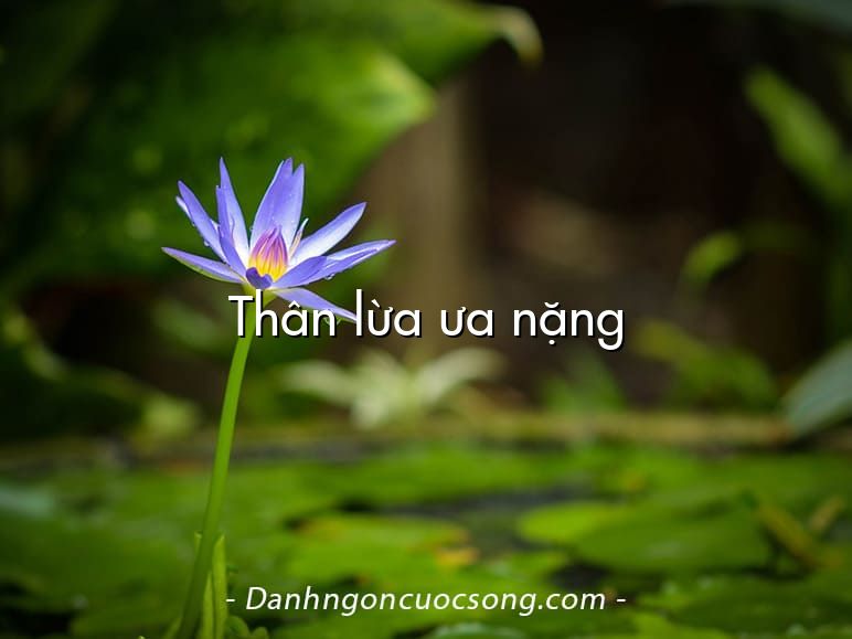 Thân lừa ưa nặng