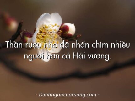 Thần rượu nho đã nhấn chìm nhiều người hơn cả Hải vương.