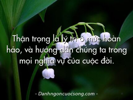 Thận trọng là lý trí ở mức hoàn hảo, và hướng dẫn chúng ta trong mọi nghĩa vụ của cuộc đời.