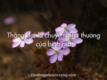 Thắng bại là chuyện bình thường của binh gia