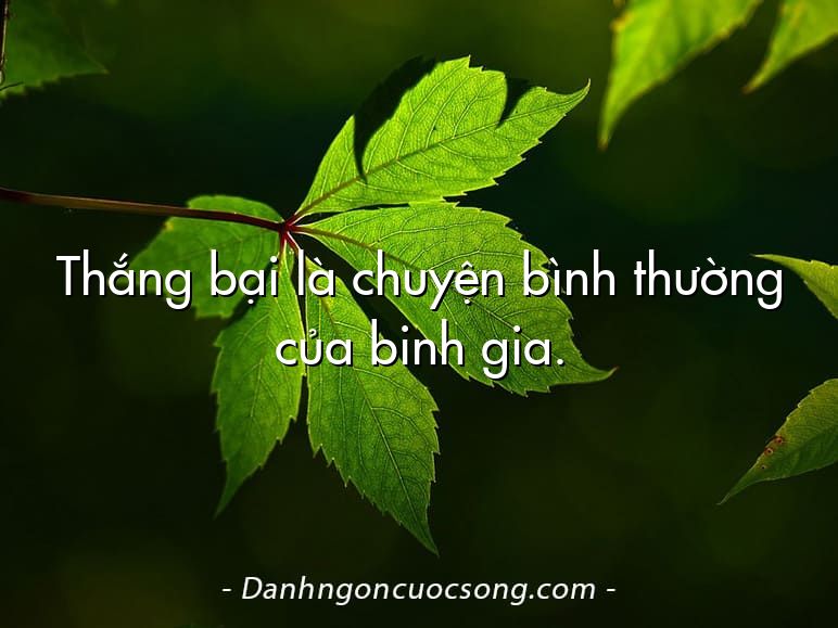 Thắng bại là chuyện bình thường của binh gia.