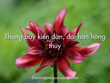 Tháng bảy kiến đàn, đại hàn hồng thủy