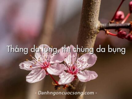 Thẳng da lưng, thì chùng da bụng