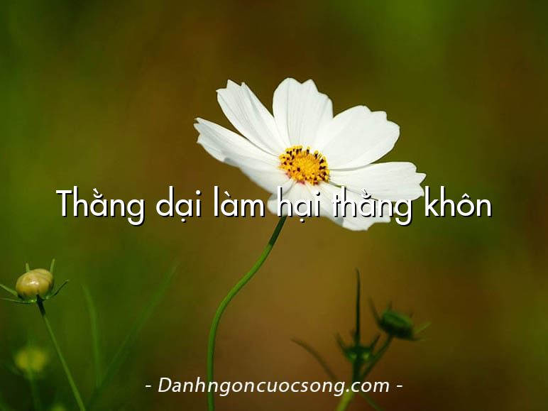 Thằng dại làm hại thằng khôn
