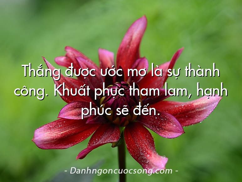 Thắng được ước mơ là sự thành công. Khuất phục tham lam, hạnh phúc sẽ đến.
