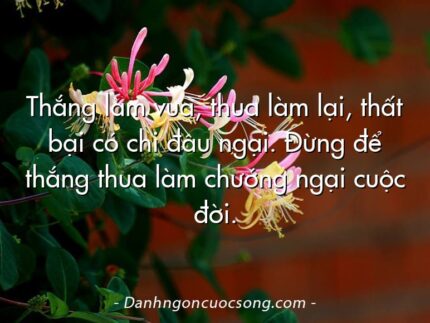 Thắng làm vua, thua làm lại, thất bại có chi đâu ngại. Đừng để thắng thua làm chướng ngại cuộc đời.