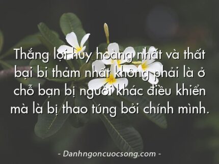 Thắng lợi huy hoàng nhất và thất bại bi thảm nhất không phải là ở chỗ bạn bị người khác điều khiển mà là bị thao túng bởi chính mình.