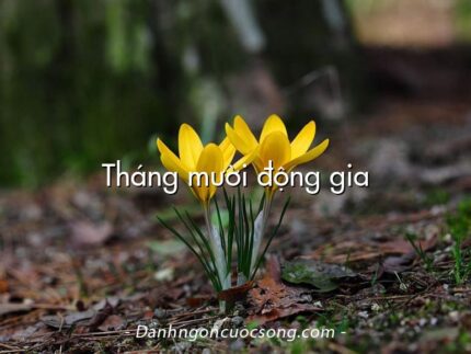 Tháng mười động gia