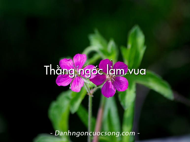 Thằng ngốc làm vua
