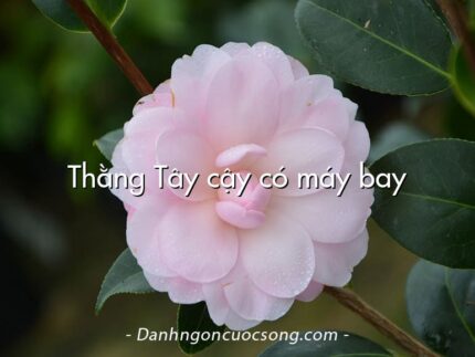 Thằng Tây cậy có máy bay