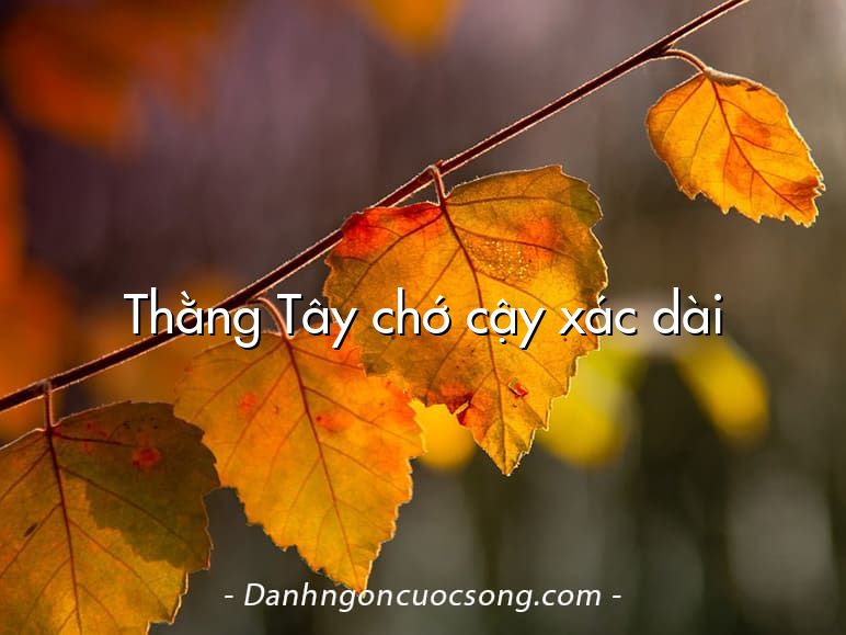 Thằng Tây chớ cậy xác dài