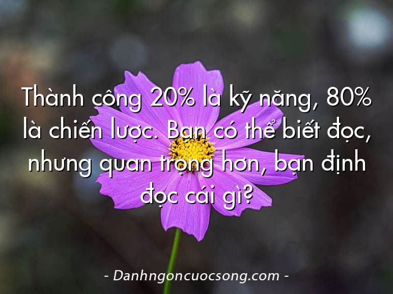 Thành công 20% là kỹ năng, 80% là chiến lược. Bạn có thể biết đọc, nhưng quan trọng hơn, bạn định đọc cái gì?
