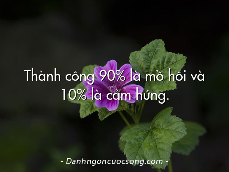 Thành công 90% là mồ hôi và 10% là cảm hứng.