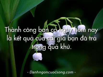 Thành công bạn có ngày hôm nay là kết quả của cái giá bạn đã trả trong quá khứ.