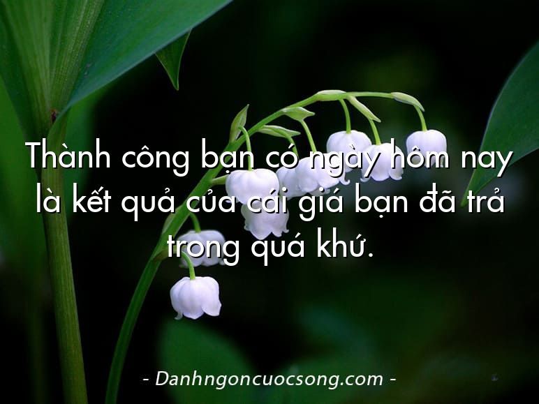 Thành công bạn có ngày hôm nay là kết quả của cái giá bạn đã trả trong quá khứ.