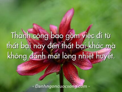 Thành công bao gồm việc đi từ thất bại này đến thất bại khác mà không đánh mất lòng nhiệt huyết.