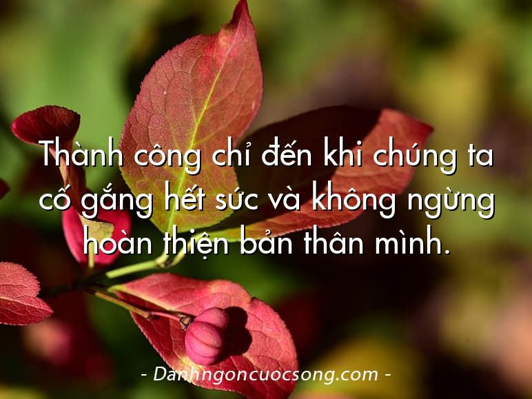 Thành công chỉ đến khi chúng ta cố gắng hết sức và không ngừng hoàn thiện bản thân mình.