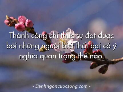 Thành công chỉ thực sự đạt được bởi những người biết thất bại có ý nghĩa quan trọng thế nào.