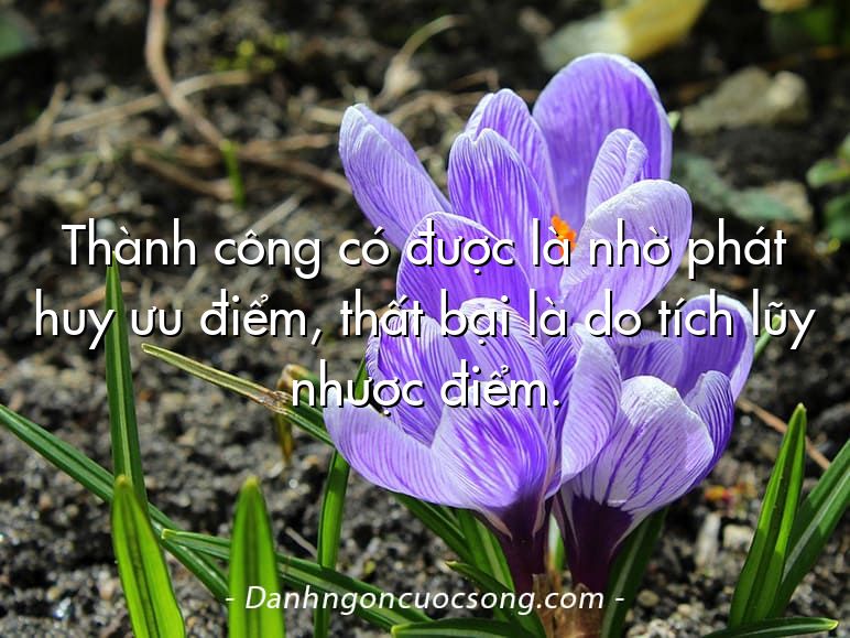 Thành công có được là nhờ phát huy ưu điểm, thất bại là do tích lũy nhược điểm.