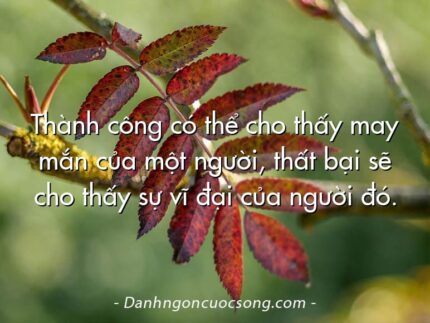 Thành công có thể cho thấy may mắn của một người, thất bại sẽ cho thấy sự vĩ đại của người đó.
