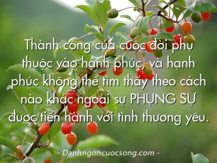 Thành công của cuộc đời phụ thuộc vào hạnh phúc, và hạnh phúc không thể tìm thấy theo cách nào khác ngoài sự PHỤNG SỰ được tiến hành với tình thương yêu.