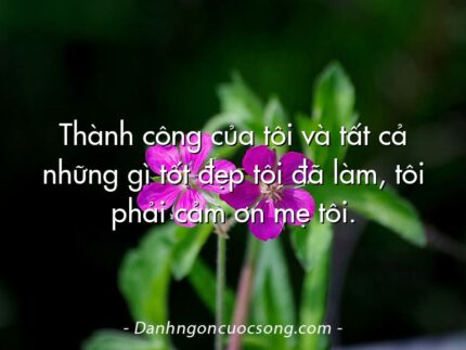 Thành công của tôi và tất cả những gì tốt đẹp tôi đã làm, tôi phải cảm ơn mẹ tôi.