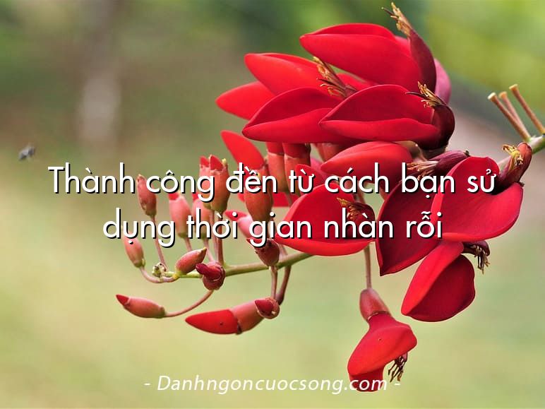 Thành công đền từ cách bạn sử dụng thời gian nhàn rỗi
