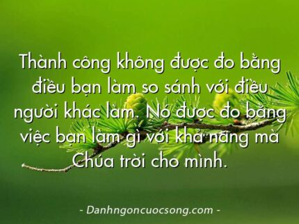 Thành công không được đo bằng điều bạn làm so sánh với điều người khác làm. Nó được đo bằng việc bạn làm gì với khả năng mà Chúa trời cho mình.