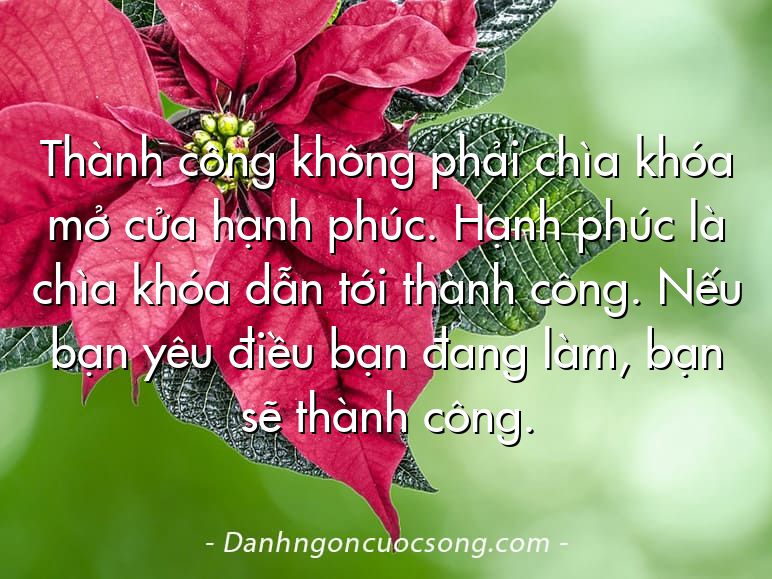 Thành công không phải chìa khóa mở cửa hạnh phúc. Hạnh phúc là chìa khóa dẫn tới thành công. Nếu bạn yêu điều bạn đang làm, bạn sẽ thành công.
