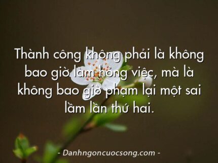 Thành công không phải là không bao giờ làm hỏng việc, mà là không bao giờ phạm lại một sai lầm lần thứ hai.